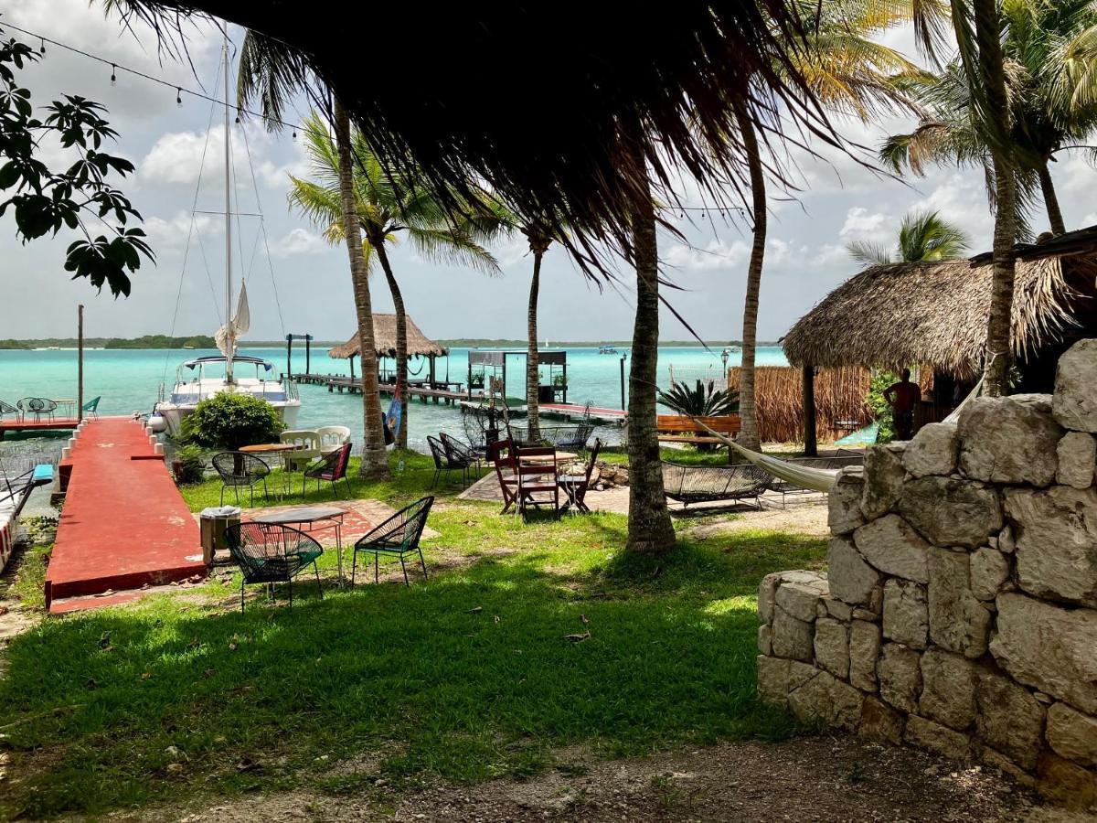 Tortuga * Bacalar
