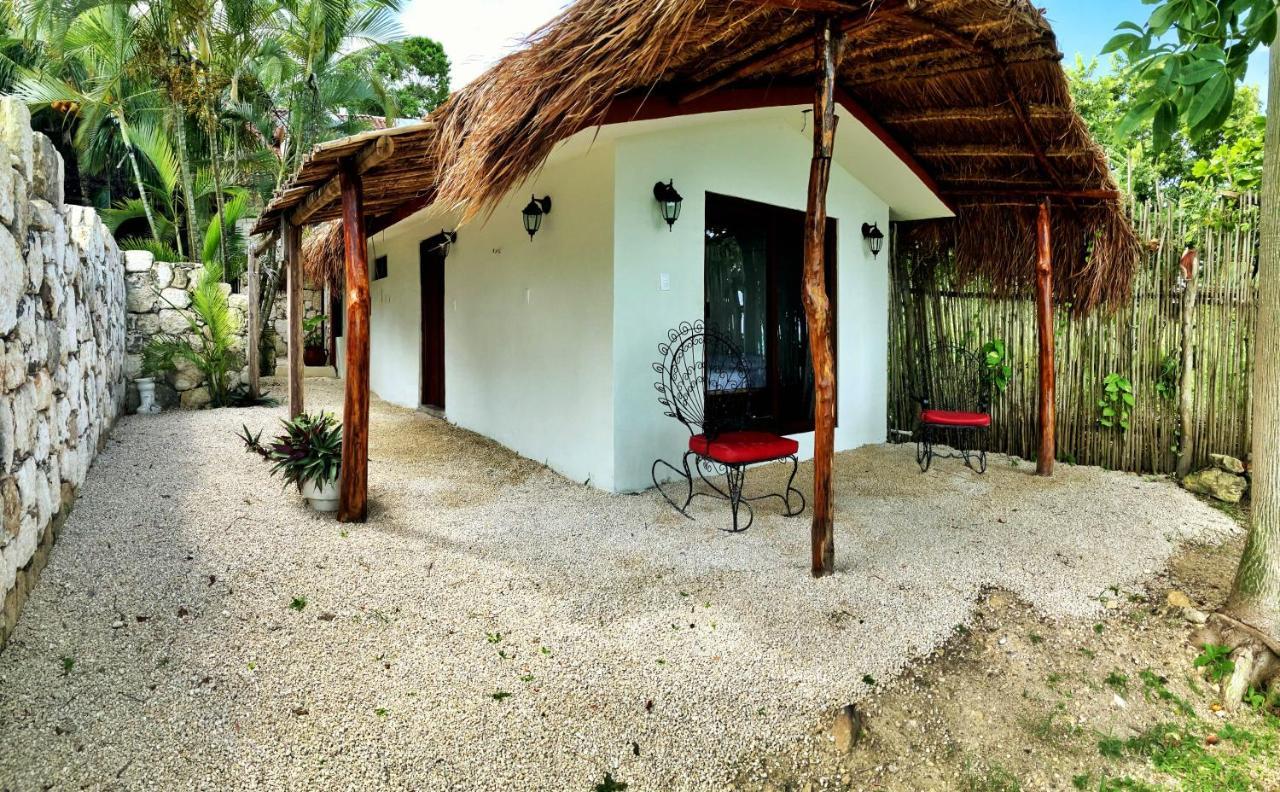 Tortuga * Bacalar