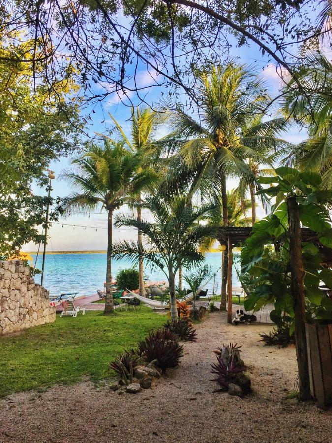 Bed & Breakfast Tortuga *