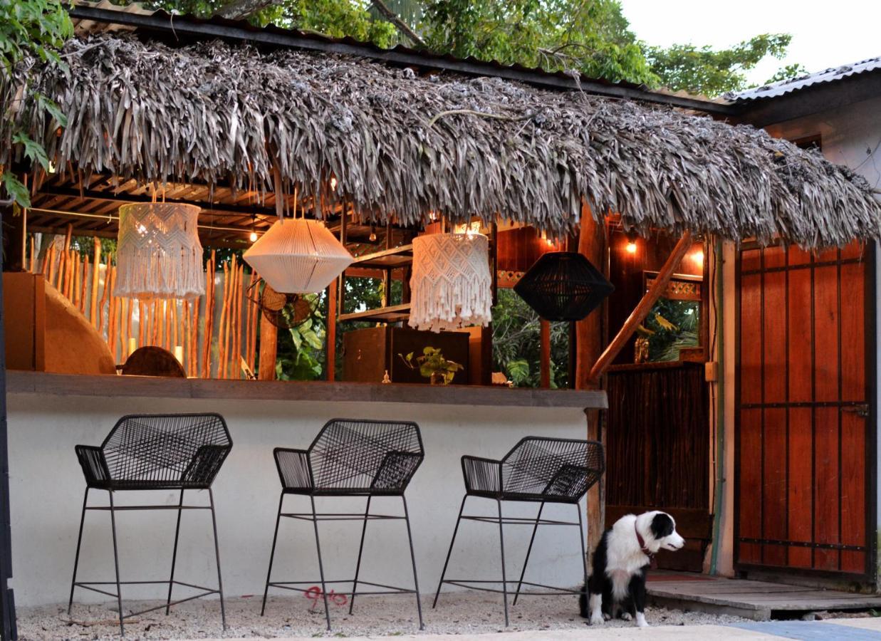 Bed & Breakfast Tortuga *