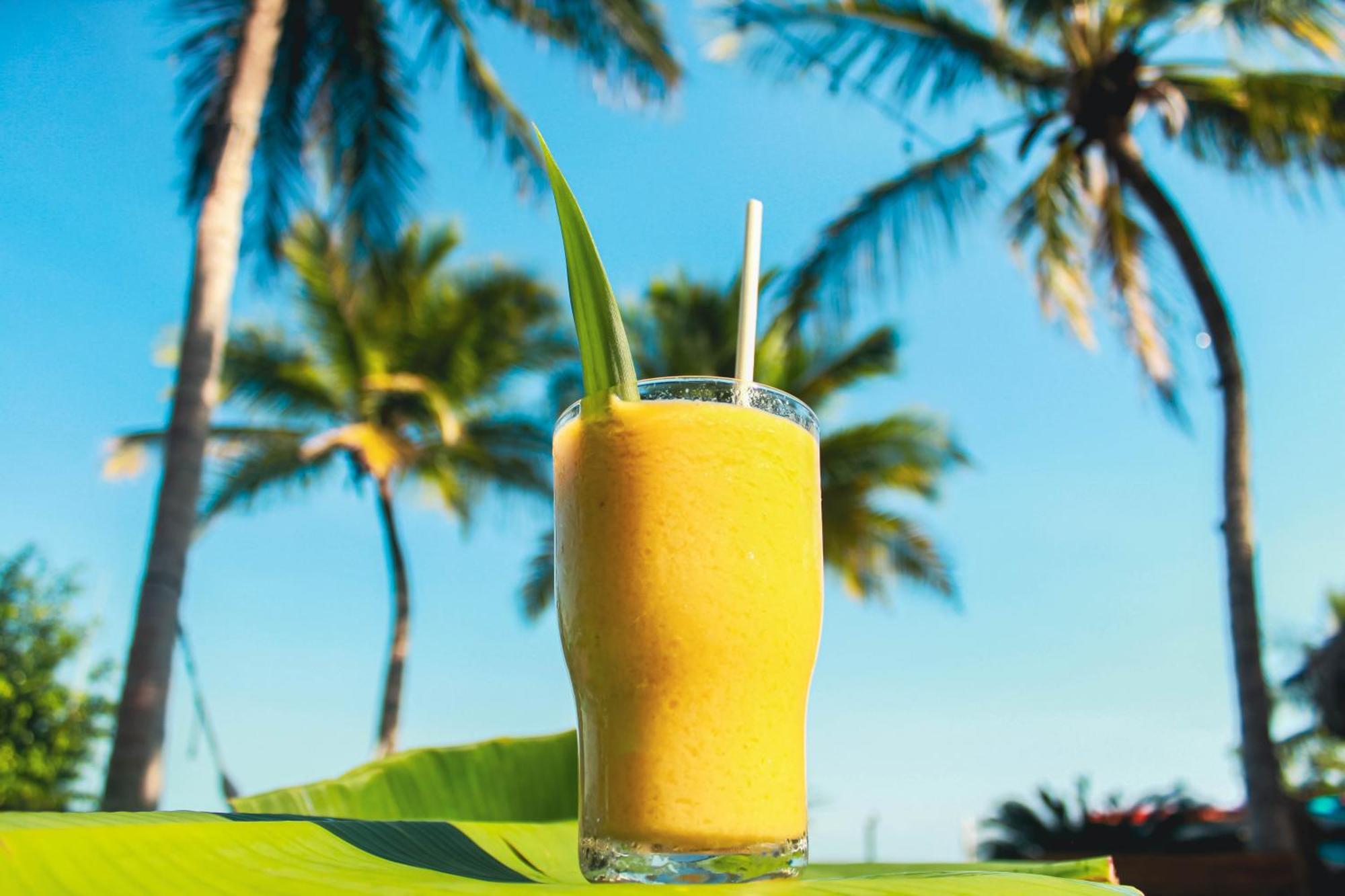 Tortuga Bed & Breakfast